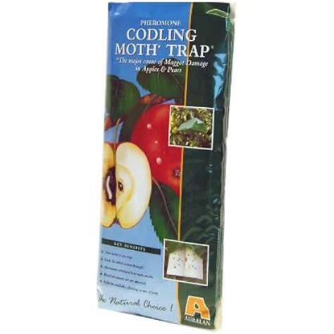 Amazon.co.uk: codling moth traps