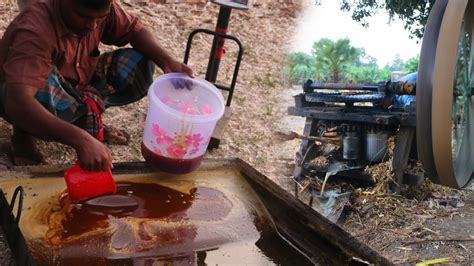 Jaggery Making From Fresh Sugarcane Juice Traditional Sugarcane