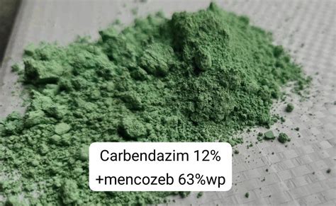 Powder Carbendazim 12 And Mancozeb 63 Wp 25 Kg At Rs 260 Kg In