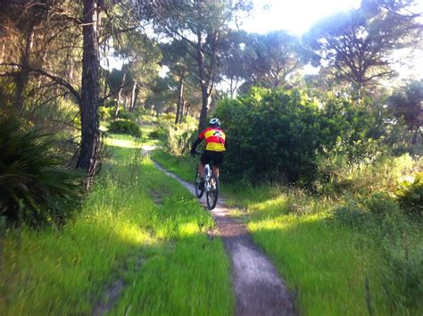 LOS TROPEZONES RUTA POR SENDERITOS POR PINOS DE ALJARAQUE