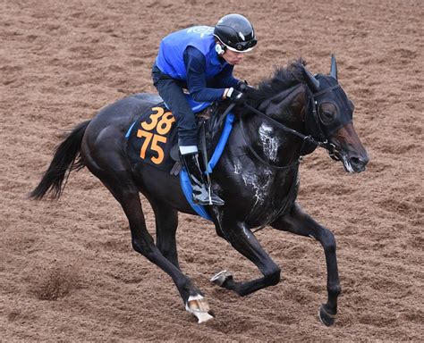 【新馬戦】アパパネの子アマキヒ 気性問題なく元気いい C・デムーロとのコンビで初戦突破へ（デイリースポーツ） Yahooニュース