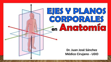 Planos Y Ejes Anatómicos