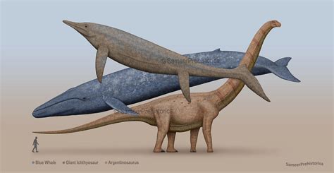 Blue Whale Size Comparison To Dinosaur