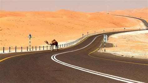 Liwa Oasis Desert Safari Abu Dhabi - Khasab Tours | Since 1992