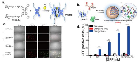 荧光超分子 蛋白质传递 I 用于细胞内蛋白质传递的荧光纳米粒子 尹教授 科易网技术创新