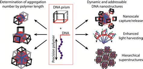 Precision Polymers And 3d Dna Nanostructures Emergent Assemblies From