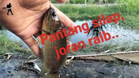 Joran Pancing Dibawa Kabur Mancing Disini Ikan Nya Ganas Ternyata