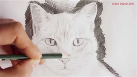 Tuto Comment Dessiner Un Chat De Face Episode 3 Technique Simple