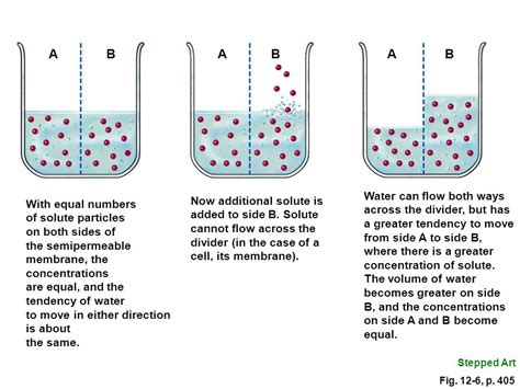 2008 Thomson Wadsworth Chapter 12 Water And Major Minerals Ppt