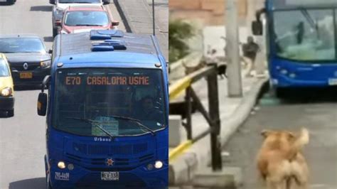 El Tiempo On Twitter Transmilenio En Video Un Bus Del Sitp Fue