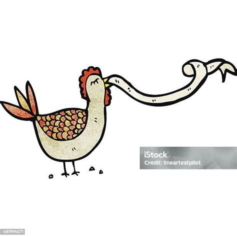 kartun hen clucking ilustrasi stok  gambar  aneh