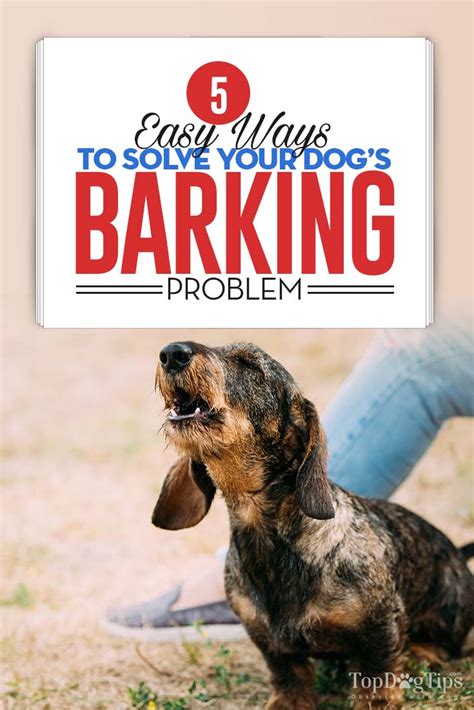 Dog Barking Problem: 5 Easy Ways to Solve It Fast