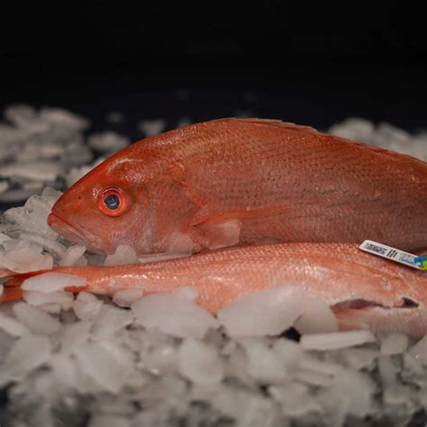 Vermilion Snapper | Vibrant Flavor from the Gulf of Mexico