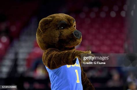 Ucla Mascot Photos And Premium High Res Pictures Getty Images