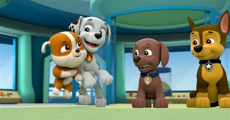 Paw Patrol La Pat Patrouille Saison En Streaming Direct Et Replay