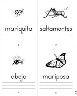 Mi Libro De Palabras De Insectos Sight Words In Spanish Mini Book