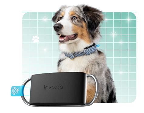 Invoxia Minitailz Smart Pet Tracker Unveiled