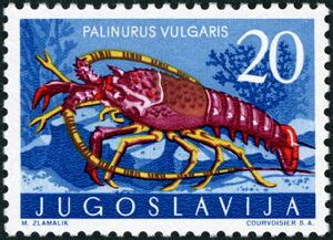 Stamp European Spiny Lobster Palinurus Elephas Yugoslavia Adriatic