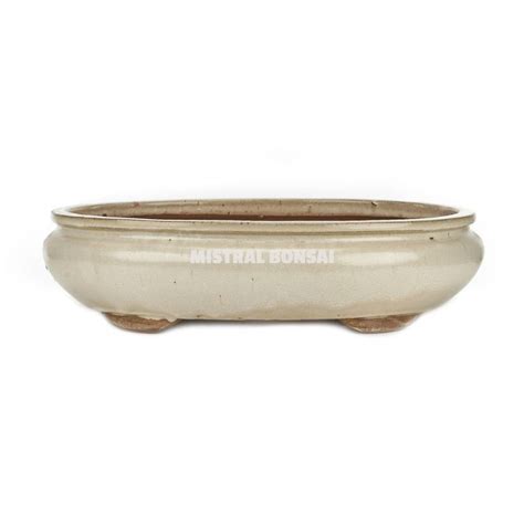 Oval Ceramic Bonsai Pot Of Cm Cream Pots Mistral Bonsai