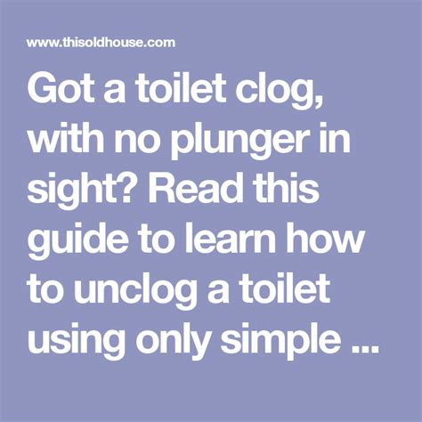 How To Unclog A Toilet Without A Plunger Plunger Clogged Toilet Unclog