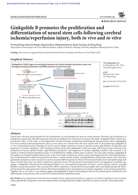 Pdf Ginkgolide B Promotes The Proliferation And Differentiation Of