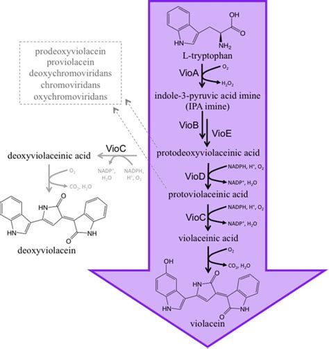 EPathOptimize A Combinatorial Approach For Transcriptional Balancing