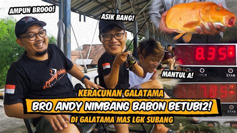 Perdana Galatama Mas Pangeran Mancing Sesat Langsung Nimbang Gak Udah