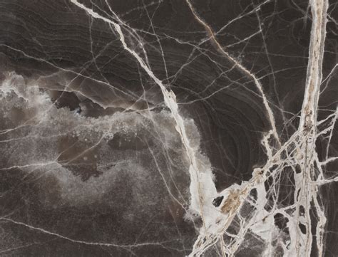 Pfm Luxury Backlit Black Onyx Marble Panel Tea Onyx Slabs Price Onyx