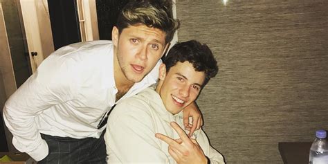 Niall Horan Talking About How Proud He Is Of Shawn Mendes Will Melt You