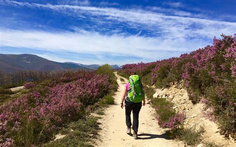 Camino De Santiago Spain Five Things To Know Before The Trail