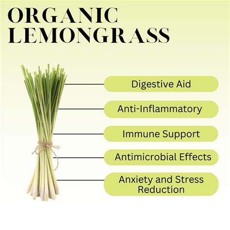 What Is Lemongrass Full Leaf Tea Company