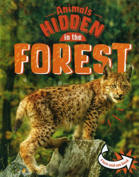 Animals Hidden In The Forest - Laburnum House Educational