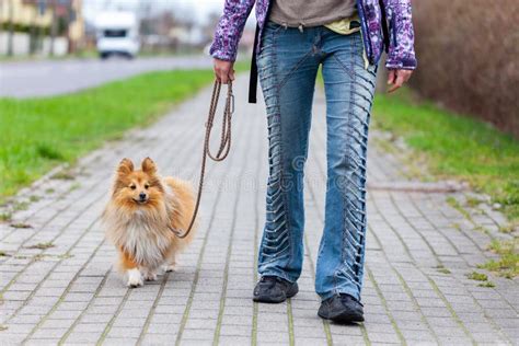 Woman Leads Her Dog On A Leash Stock Image Image Of Background