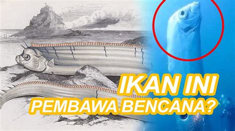 Ikan Ini Muncul Tanda Akan Terjadi Bencana Ikan Oarfish Youtube