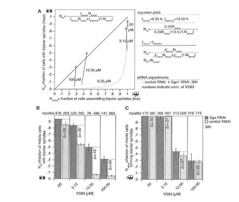 Figure 2 From The Functional Antagonism Between Eg5 And Dynein In