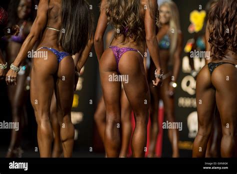 Las Vegas Nevada USA 16th Sep 2016 Women Compete In The Bikini