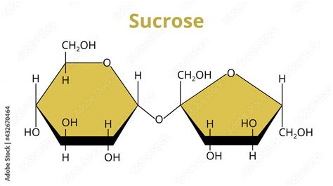 2D vector molecular structure of the disaccharide sucrose, common sugar ...