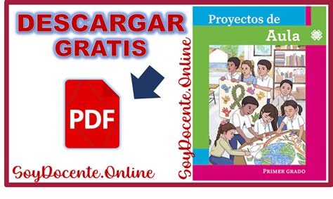 Un Libro Proyectos De Aula Para La Maestra Y El Maestro Proyectos De