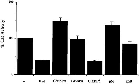 Inhibition Of ApoC III Promoter Activity By IL 1 And C EBP HepG2 Cells