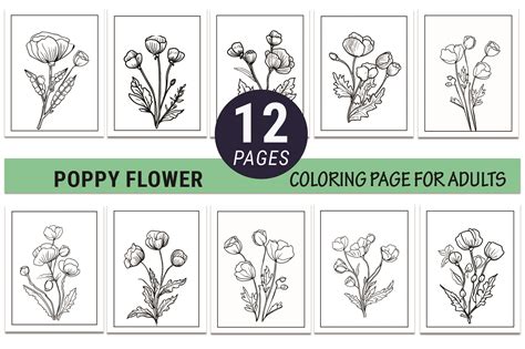 August Birth Flower Tattoo Drawing Pages Graphic By Graphicart · Creative Fabrica