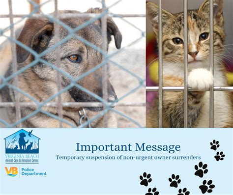 animal of virginia 7