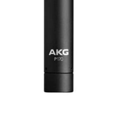 Akg P Small Diaphragm Cardioid Condenser Microphone Reverb