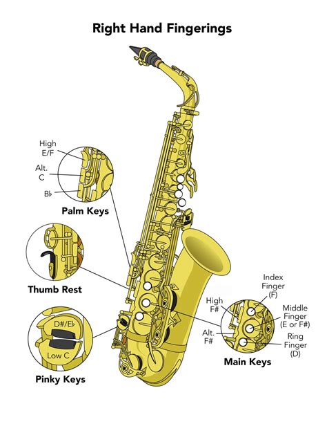 Saxophone Fingering Chart — Beginning Saxophone