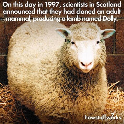 On this date in science history — Feb. 23, 1997: Dolly the cloned sheep ...