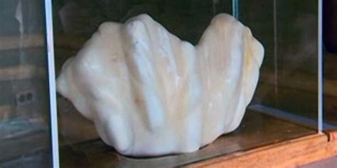 World S Largest Pearl Found To This Date Business Insider