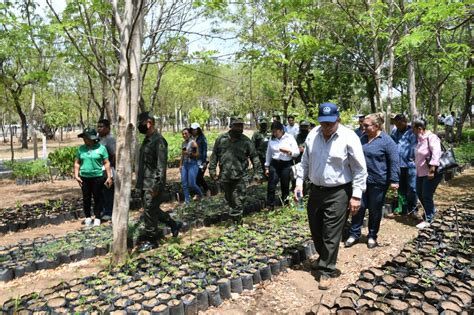 Marena Y Ej Rcito Inauguran Vivero Forestal De Mil Plantas Marena