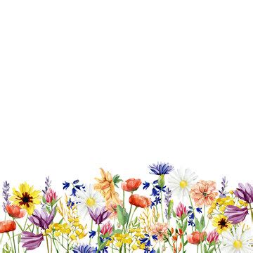 Wildflower Border Images – Browse 80,581 Stock Photos, Vectors, and ...