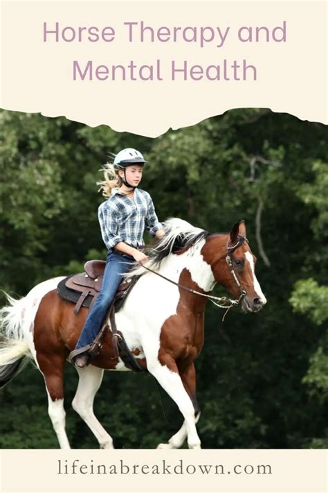 Horse Therapy and Mental Health | Can Horses Relieve Stress?