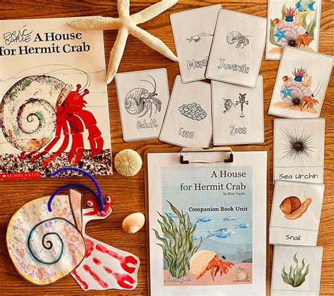 A House For Hermit Crab Book Unit FTL Of Homeschooling