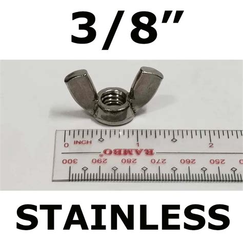 Ss Wing Nut Stainless Steel